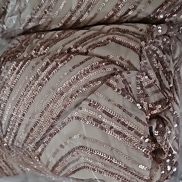 Rose Gold, Striped, Sleeveless, Backless,  Fringe Draped, Sequined Merma… - Picture 14 of 15